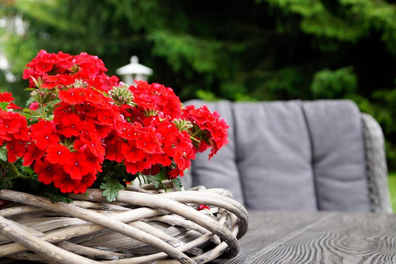 Apartment Alpenblick & Outdoor
